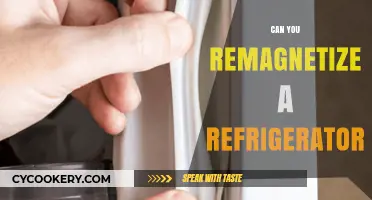 How to Remagnetize Your Refrigerator: A Step-by-Step Guide