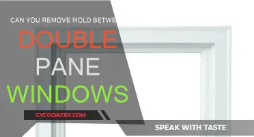How to Remove Mold Between Double Pane Windows