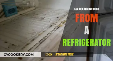 Effective Ways to Remove Mold from Your Refrigerator Safely