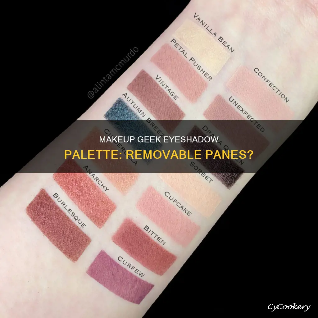 can you remove the panes in makeup geek eyeshadow palette