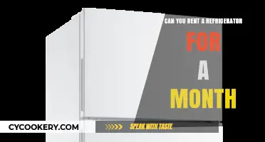 Renting a Refrigerator: Short-Term Options for Your Monthly Needs