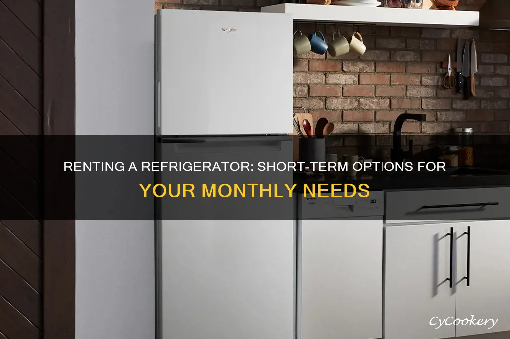 can you rent a refrigerator for a month