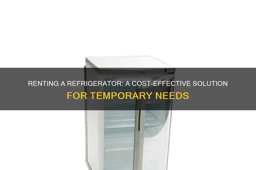 can you rent a refrigerator
