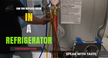 Replacing Freon in Your Refrigerator: What You Need to Know