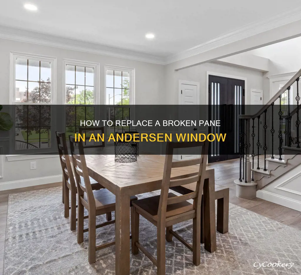 can you replace pane in andersen window