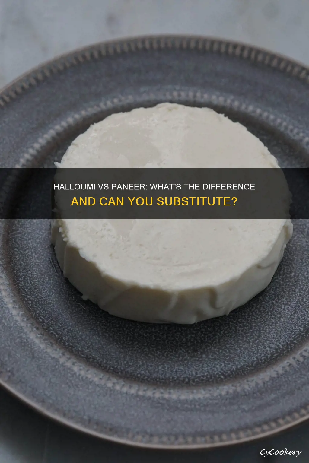 can you replace paneer with halloumi