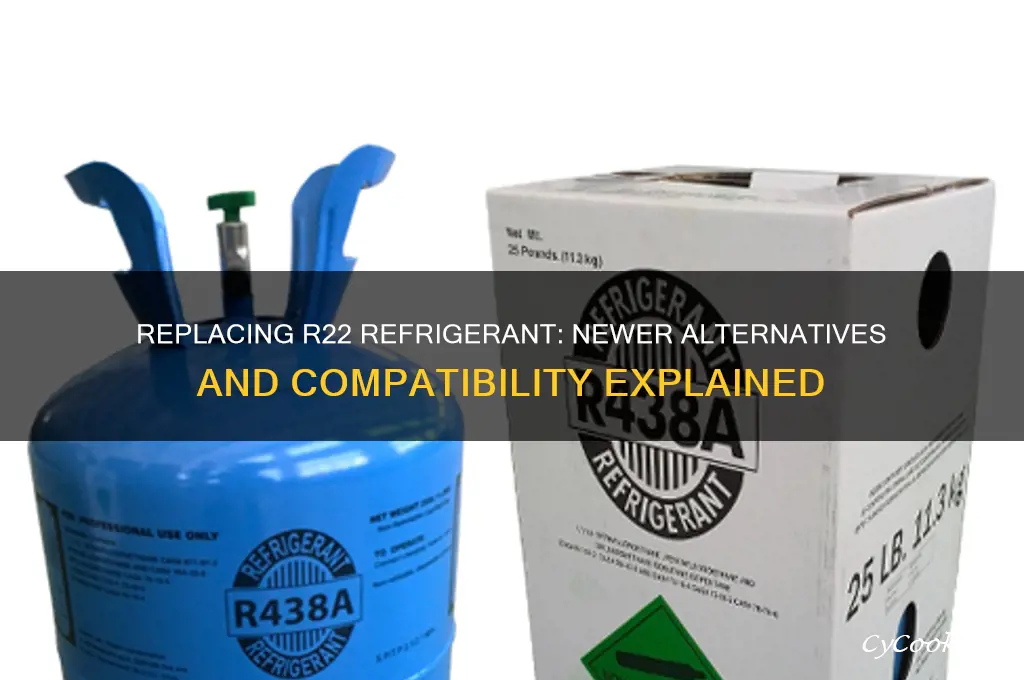 can you replace r22 refrigerant with newere refrigerant
