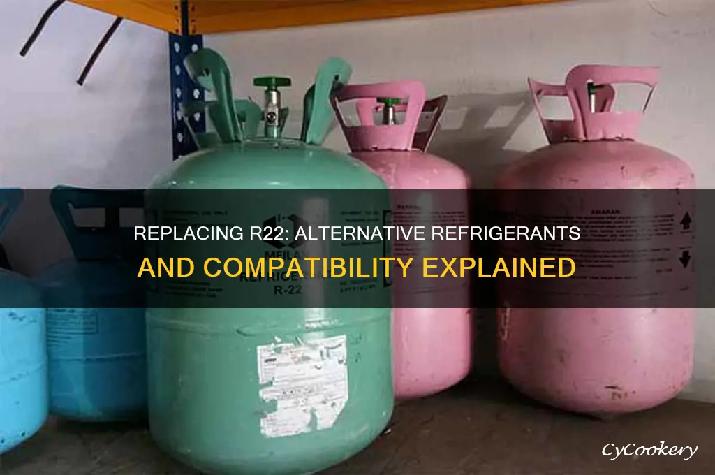 can you replace r22 with another refrigerant