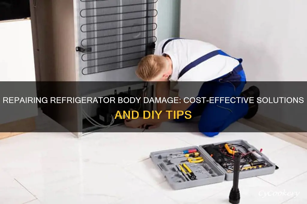 can you replace refrigerator body damage