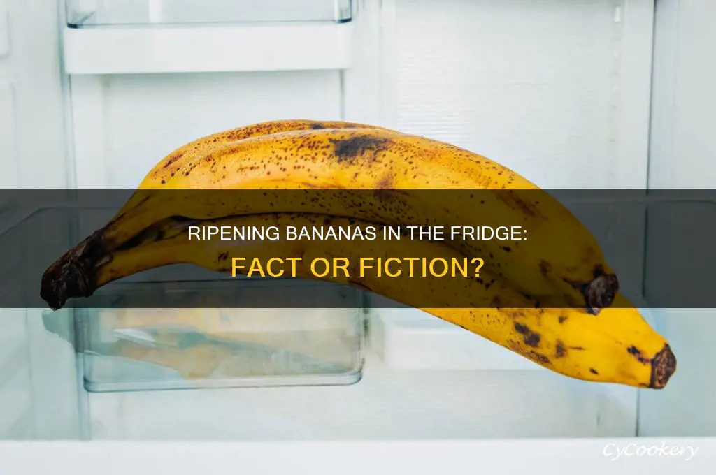 can you ripen bananas in the refrigerator