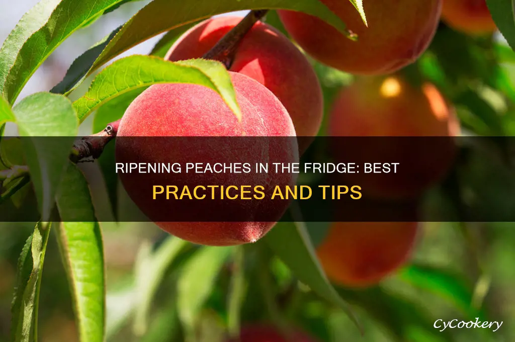 can you ripen peaches in the refrigerator