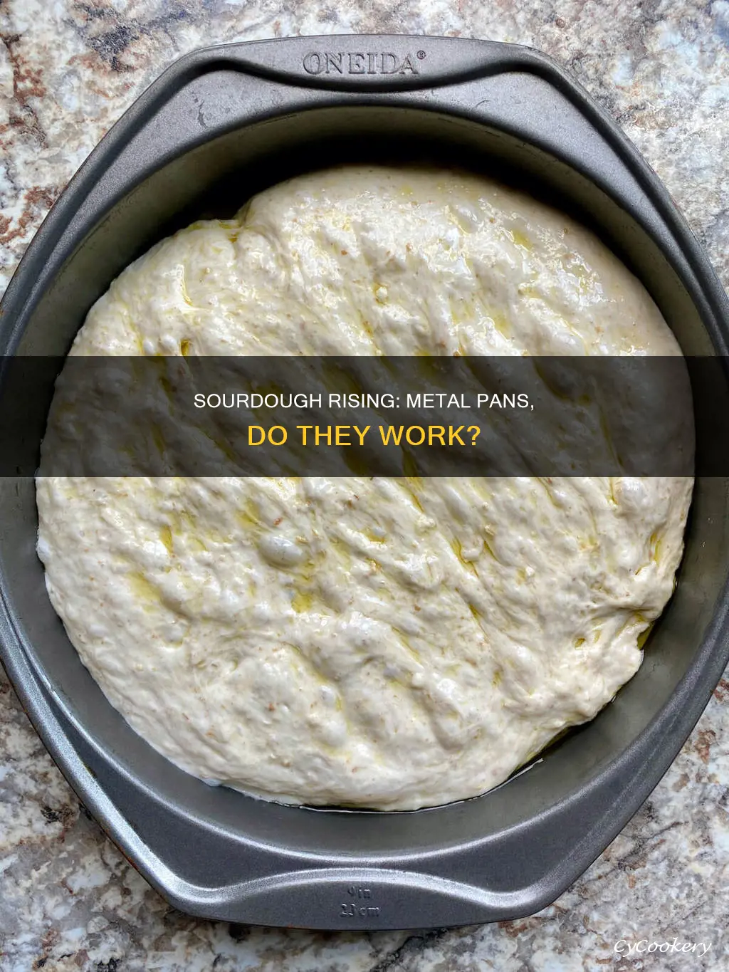 can you rise sourdough in a metal pan