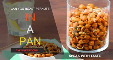 Roasting Peanuts: Pan-Fry Method Explored