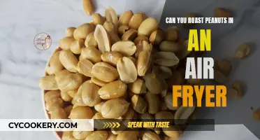 Roasting Peanuts in an Air Fryer: Is It Possible?