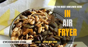 Roasting Sunflower Seeds in an Air Fryer: Easy and Quick!