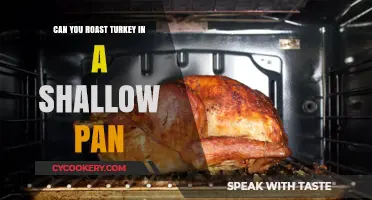 Roasting Turkey: Shallow Pan, Deep Flavor?