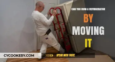 Moving Your Fridge: Common Mistakes That Can Cause Damage