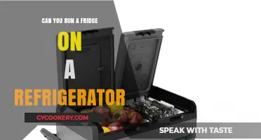 Can a Fridge Power Itself? Exploring Refrigerator Energy Efficiency
