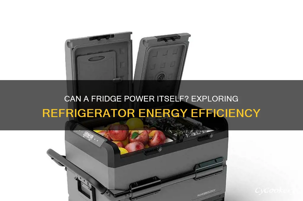 can you run a fridge on a refrigerator