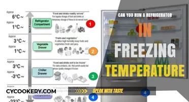 Running a Refrigerator in Freezing Temps: Risks and Solutions