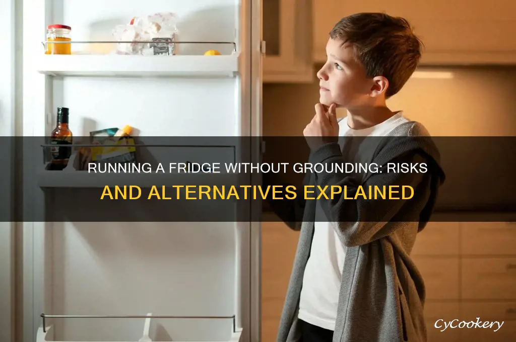 can you run a refrigerator on a non grounded