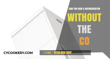 Running a Fridge Without CO: Is It Possible or Practical?