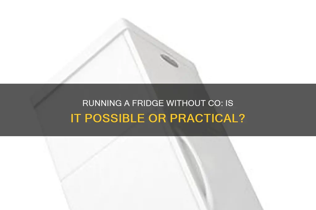 can you run a refrigerator without the co