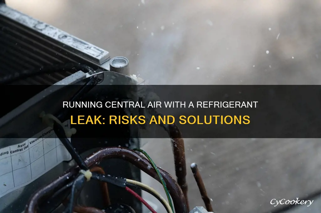 can you run central air with refrigerant leak