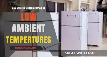 Running Refrigerators in Cold Climates: Low Ambient Temperature Challenges