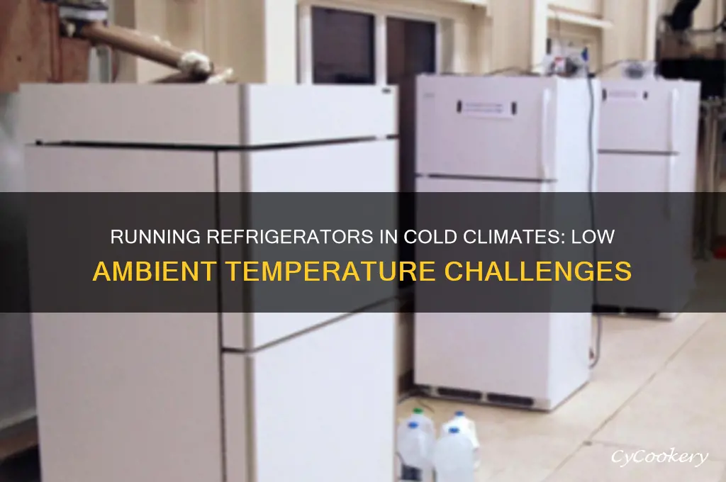 can you runa refrigerator at low ambient tempertures