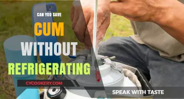 Storing Semen: Safe Methods Without Refrigeration Explained