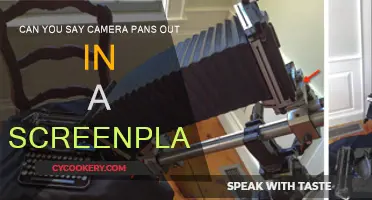 How to Use Camera Pans in Screenplays