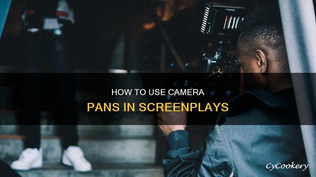 can you say camera pans out in a screenplay