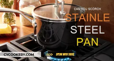 Stainless Steel Pans: Can They Be Scratched or Scorched?