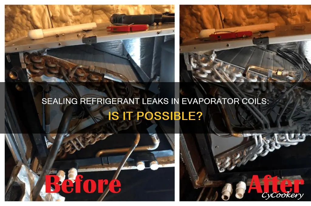 can you seal a refrigerant leak in an evaporator coil