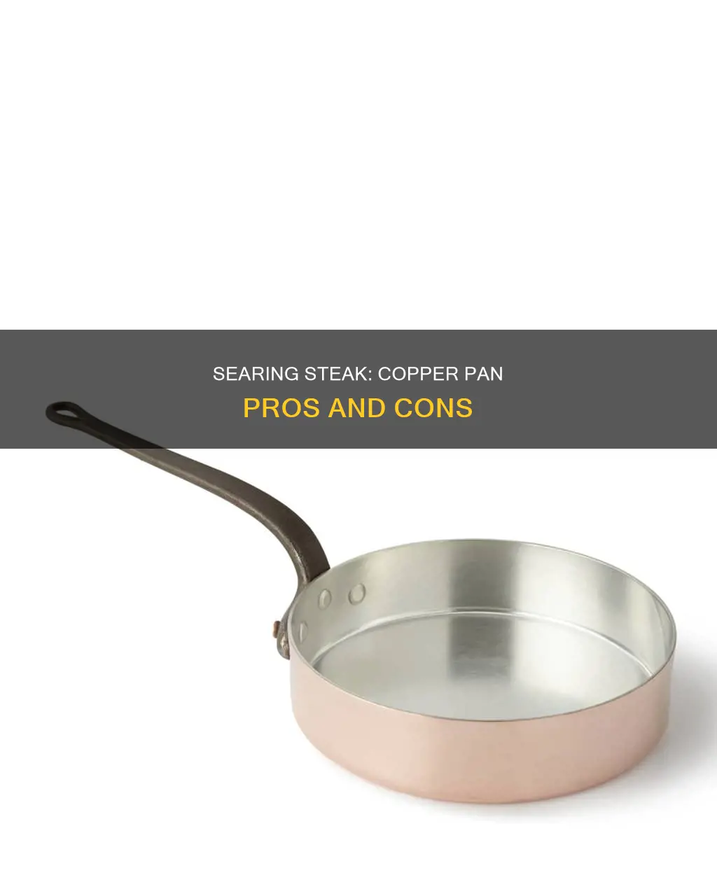 can you sear a steak in a copper pan