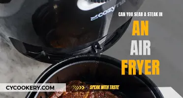 Air Fryer Steak: Seared to Perfection?