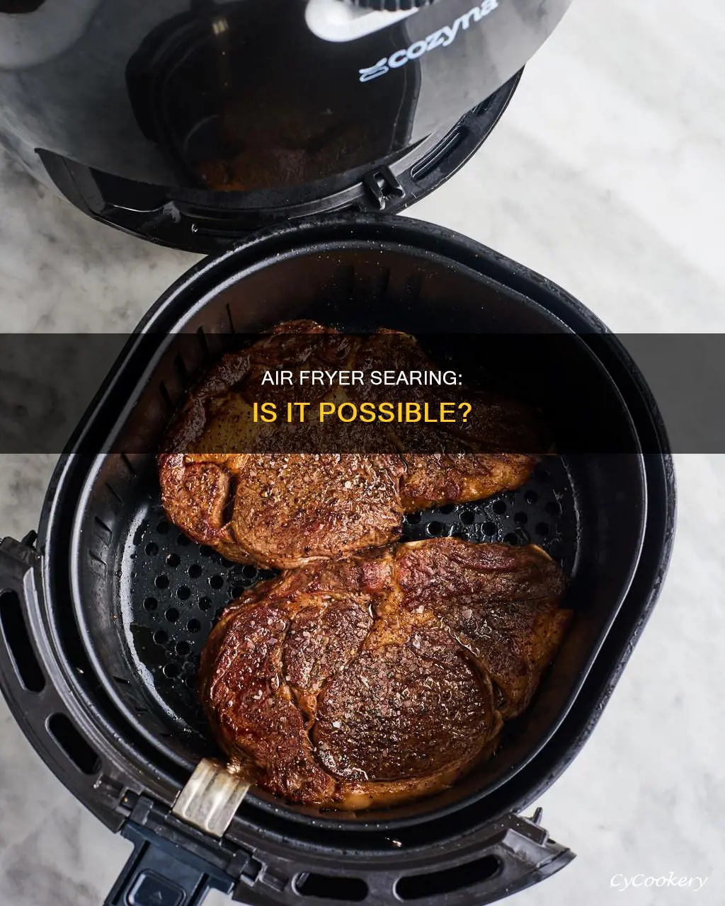 can you sear in an air fryer