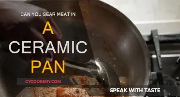 Searing Meat: Ceramic Pans, Yay or Nay?