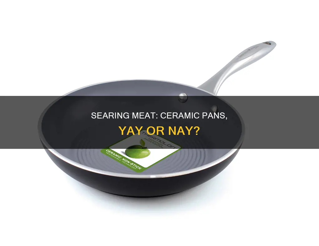 can you sear meat in a ceramic pan