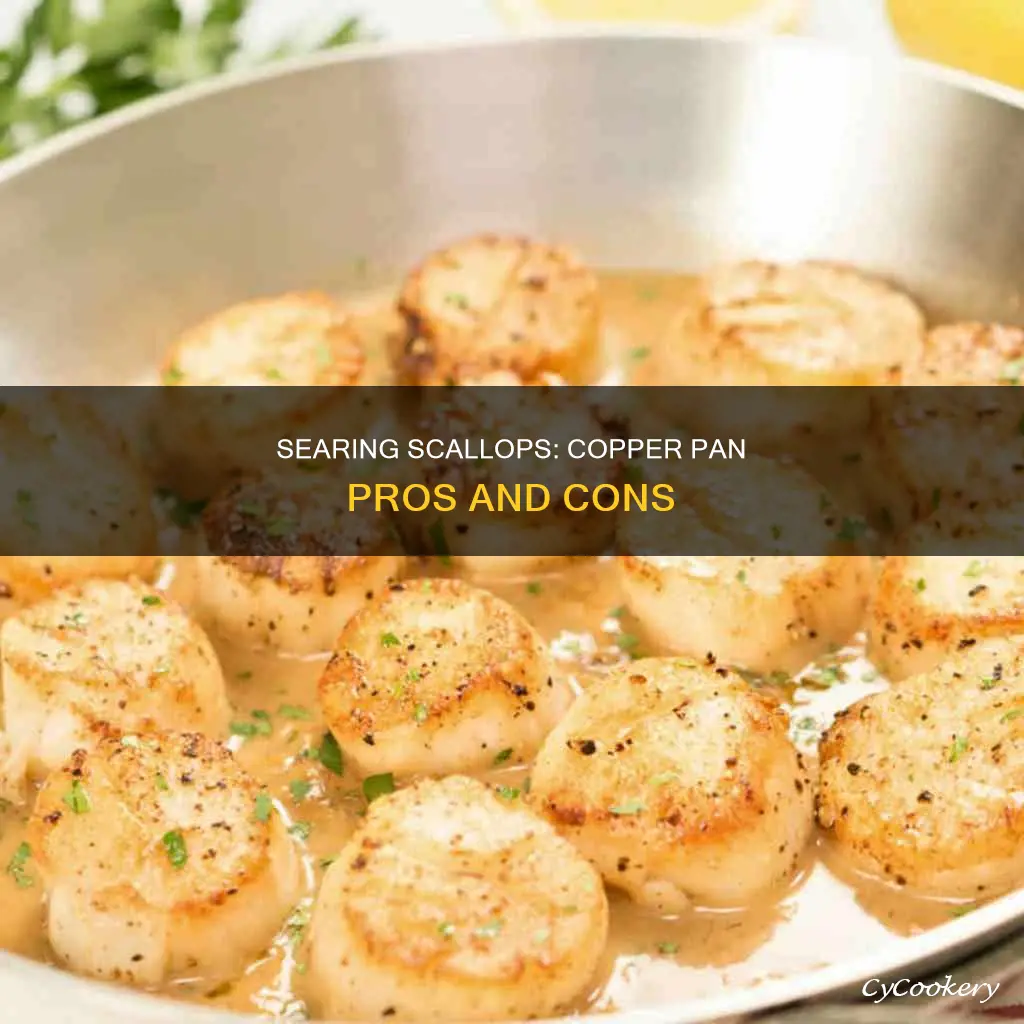 can you sear scallops in copper pan