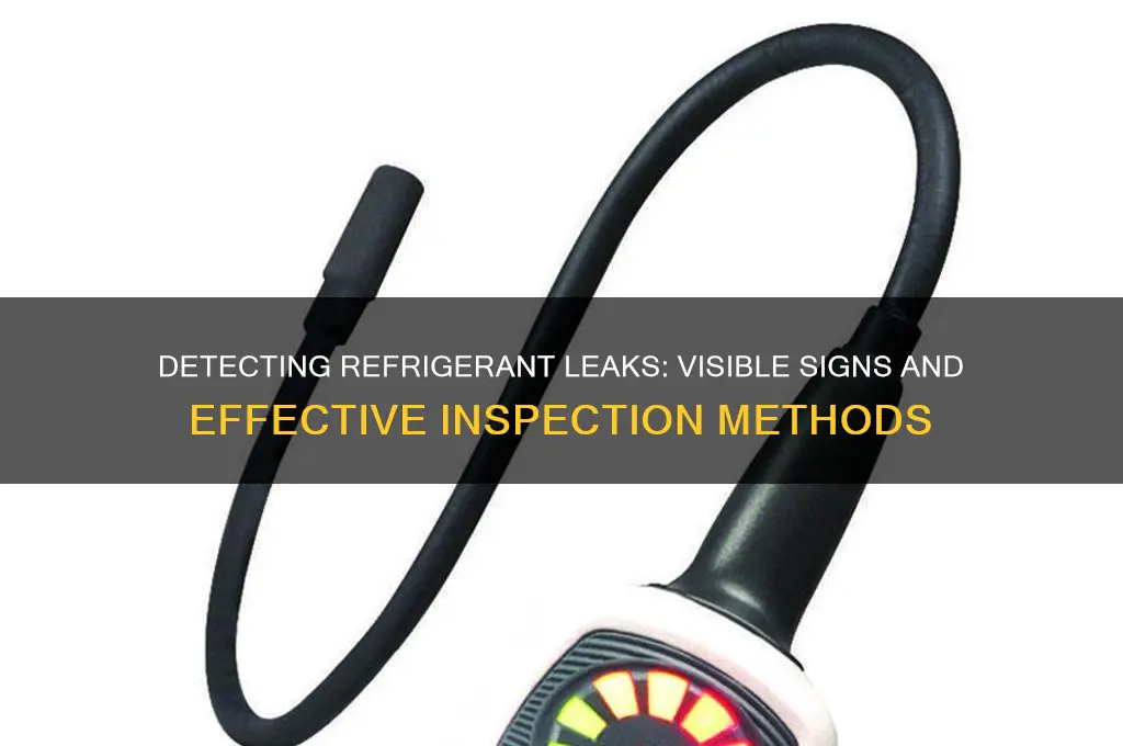 can you see a refrigerant leak