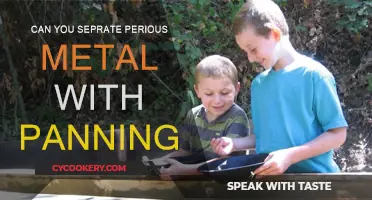 Panning for Precious Metals: Separating the Gold from the Sand