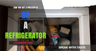 Can You Convert a Freezer to a Refrigerator? A Guide