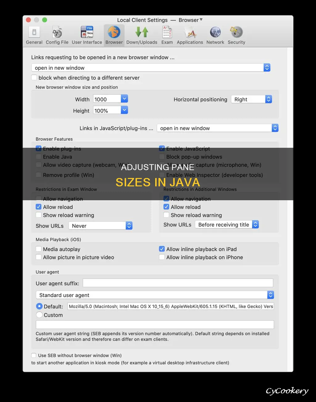 can you set a panes size jav