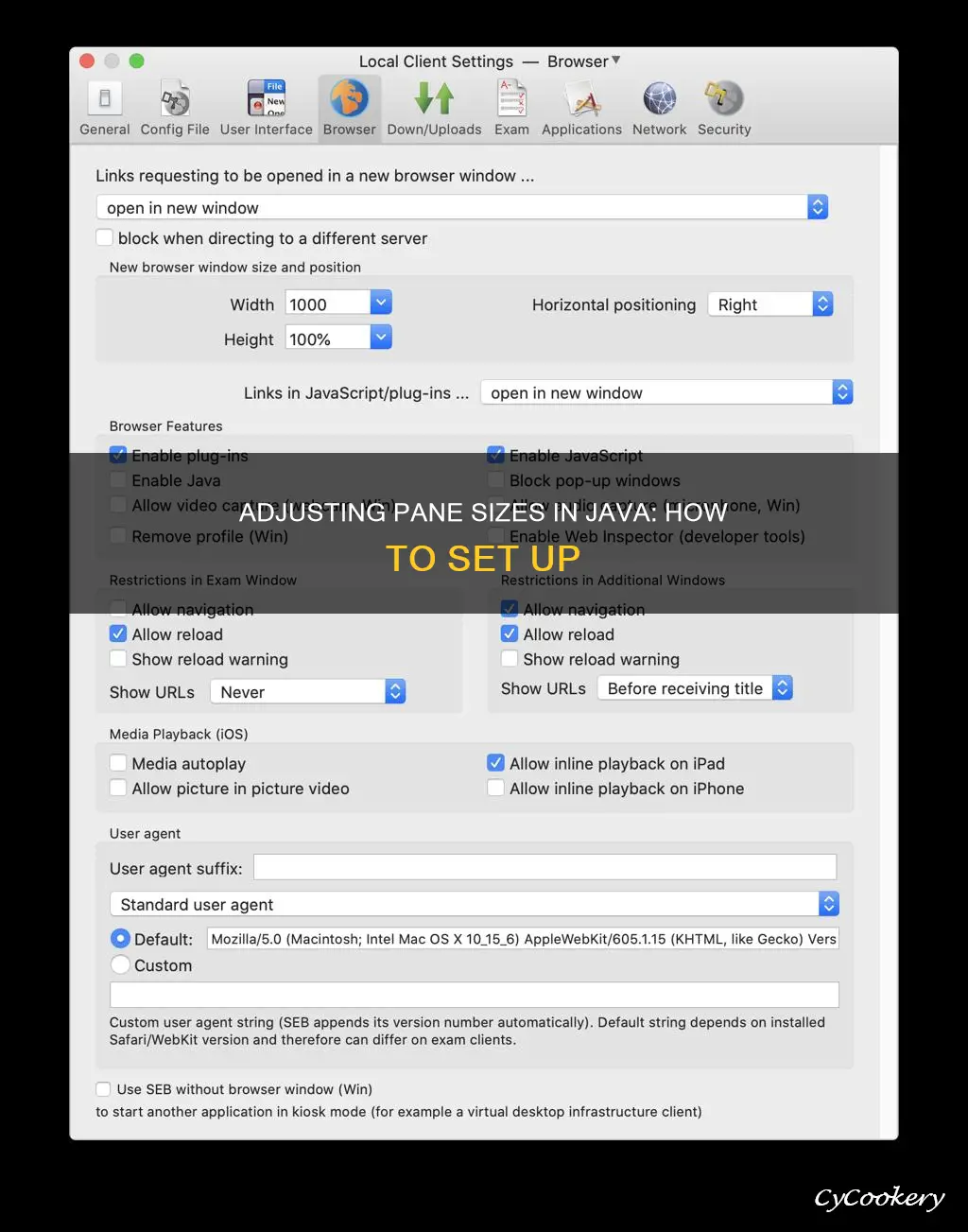 can you set a panes size java