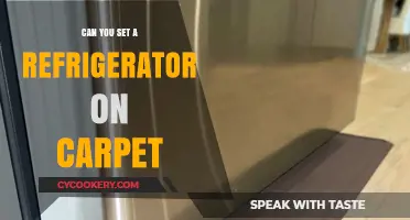 Can You Safely Place a Refrigerator on Carpet? Expert Tips