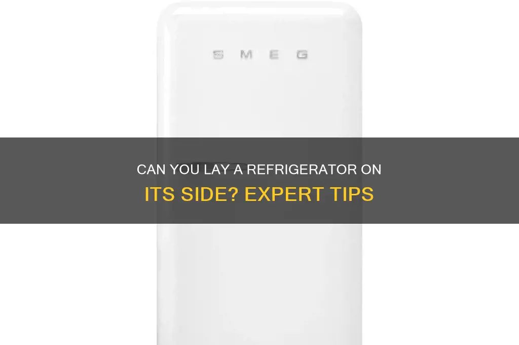 can you set a refrigerator on its side