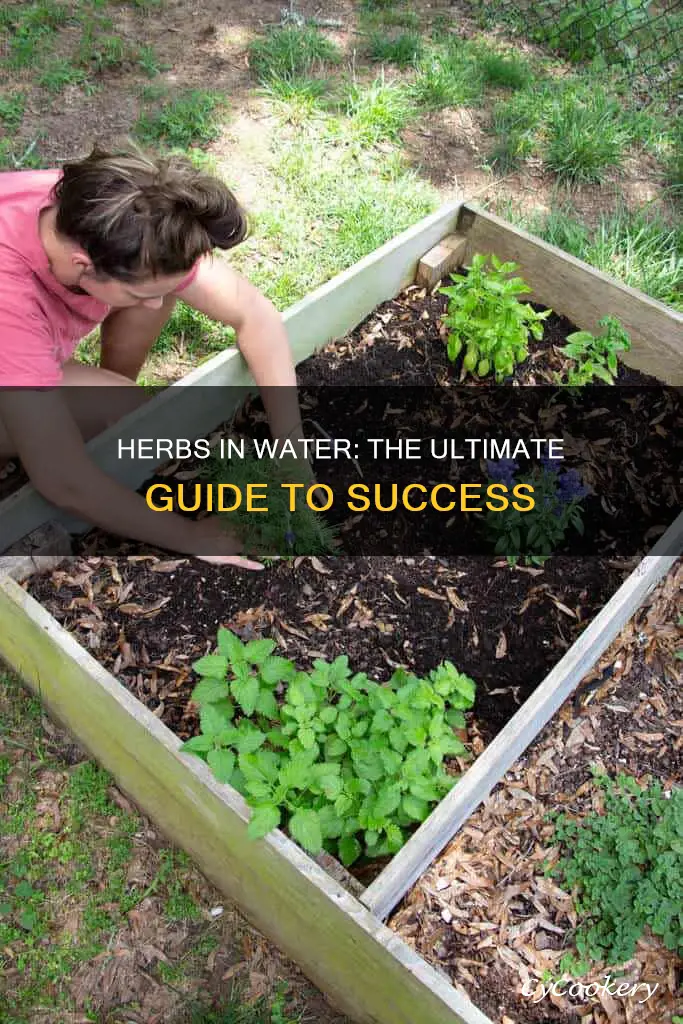 can you set herb pots in water pan