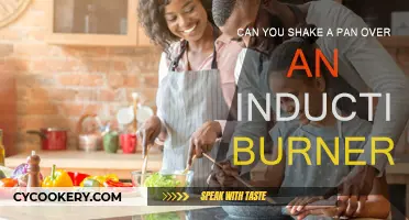 Induction Cooking: Can You Shake Your Pan?
